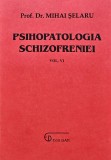 Cumpara ieftin Psihopatologia Schizofreniei vol. VI - Mihai Selaru, 2004, Editura Dan, 184 pagini, stare ca noua