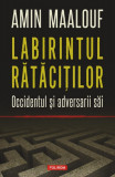 Labirintul ratacitilor Occidentul si adversarii sai