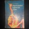 A. N. Tolstoi - Hiperboloidul inginerului Garin