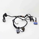 Cablaj ușă st&acirc;nga spate MASERATI QUATTROPORTE VI 2015 OEM: 06700075100,670007510 15473568