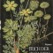 Buch Der Doldengewachse - Herbert Weymar