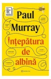 &Icirc;nțepătura de albină - Paperback brosat - Paul Murray - Bookzone