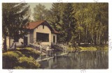 1245 - REGHIN, Mures, Park, Romania - old postcard - unused, Necirculata, Printata