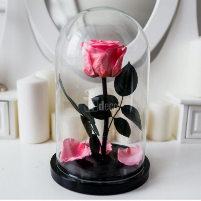 Trandafir Criogenat somon deschis xl &amp;Oslash;6,5cm in cupola foto
