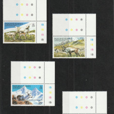 Falkland Islands Dependencies 1982-Fauna,Reni,serie 4 val.(punte),MNH,Mi.102-105