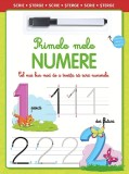 Primele mele numere. Scrie, sterge - Editura Flamingo GD