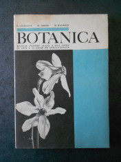 N. SALAGEANU - BOTANICA. MANUAL PENTRU CLASA A IX-A LICEU (1968) foto