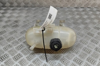 Vas de expansiune OPEL VIVARO Combi 2016 OEM: 217101893R,95517213 28540985 foto