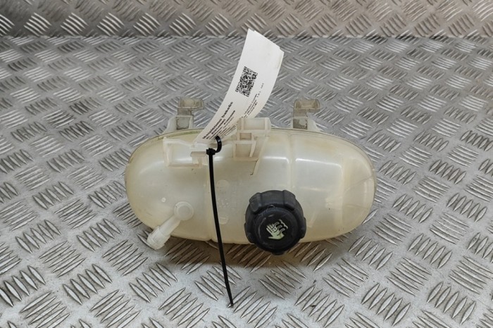 Vas de expansiune OPEL VIVARO Combi 2016 OEM: 217101893R,95517213 28540985