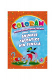 Animale sălbatice din junglă. Desene mari pentru cei mici rom&acirc;nă-engleză - Paperback - Eurobookids