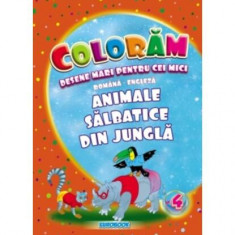 Animale sălbatice din junglă. Desene mari pentru cei mici română-engleză - Paperback - Eurobookids