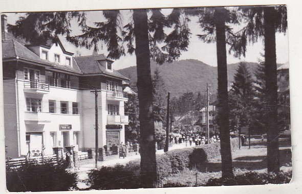 bnk cp Sovata - Vedere - circulata