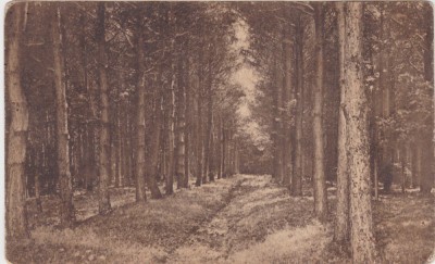 CP Resita Recita, Padurele 1927 foto