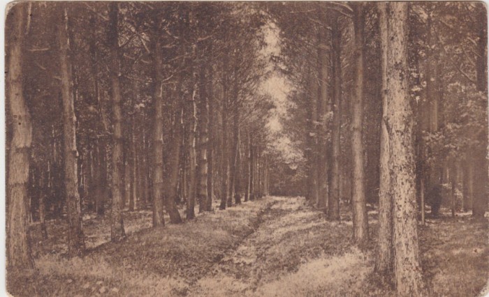 CP Resita Recita, Padurele 1927