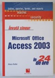 INVATA SINGUR MICROSOFT OFFICE ACCESS 2003 , IN 24 DE ORE de ALISON BALTER , 2008