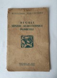 Reguli minime agrotehnice pomicole, 1953