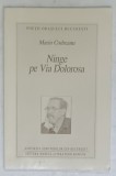 NINGE PE VIA DOLOROSA , VERSURI de MARIN CODREANU , 2001