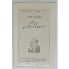 NINGE PE VIA DOLOROSA , VERSURI de MARIN CODREANU , 2001