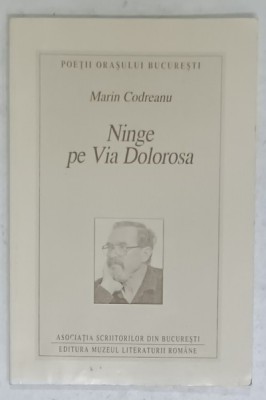 NINGE PE VIA DOLOROSA , VERSURI de MARIN CODREANU , 2001 foto