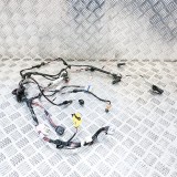 Cablaj ușă st&acirc;nga spate TESLA MODEL X 2016 OEM: 1032441-00-G 10639523