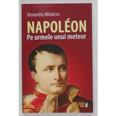 NAPOLEON , PE URMELE UNUI METEOR de ALEXANDRU MIHALCEA , 2025