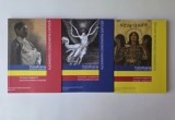 Alexandru Constantin Chituta, 3 volume Octavian Smigelschi: pictura de sevalet - desene - pictura religioasa, Muzeul Brukenthal, Sibiu / Transilvania
