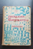 Probleme de matematică pentru gimnaziu - Ion Petrică, Cornel Ștefan, Ștefan Alexe