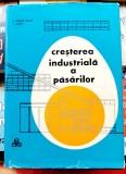 Cresterea industriala a pasarilor - M.P.Baran si V.Lascar