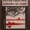 Peter Cheyney - Misiunea cea mare
