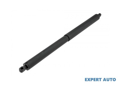 Telescop capota spate BMW X1 (11.2014-&amp;gt;) [F48] #1 foto