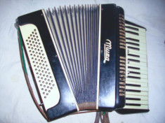 Acordeon polonez, Muza foto