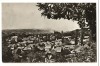 CPI B 10829 CARTE POSTALA - PUCIOASA, Circulata, Fotografie