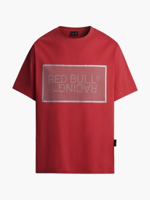 Red Bull Racing tricou de bărbați mesh film logo red F1 Team 2023 - L foto