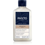 Phyto Repair Repairing shampoo șampon regenerator pentru par deteriorat 250 ml