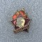 Insigna Lenin URSS