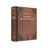 Principiile procedurei judiciare. Explicatiunea teoretica a legilor de organizare judiciara, competinta si procedura civila. Volumele 1-2 - Eugen Hero