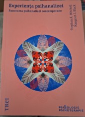 Experienta psihanalizei foto