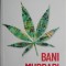 Bani murdari. Cum fac afaceri cartelurile de droguri &ndash; Tom Wainwright