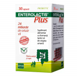 Cumpara ieftin Enterolactis Plus, 30 capsule, Sofar