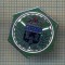 Y 1082 INSIGNA -,,E-A-T&quot; -PENTRU COLECTIONARI