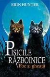 Pisicile razboinice (vol. 2): Foc si gheata