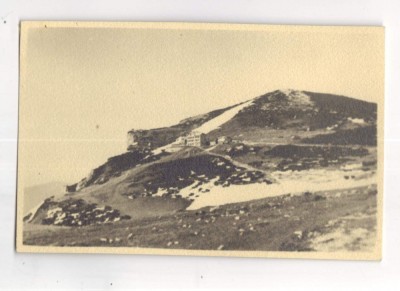 foto Kaldor Timisoara foto