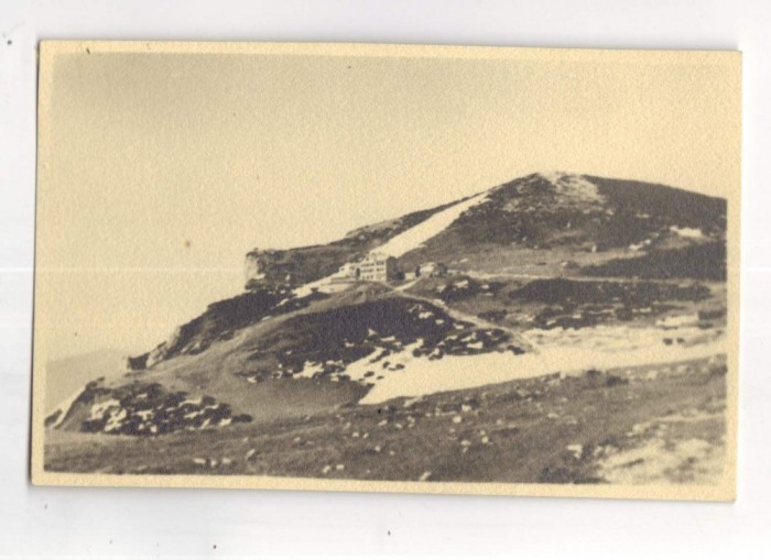 foto Kaldor Timisoara