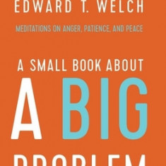 A Small Book about a Big Problem: Meditations on Anger, Patience, and Peace