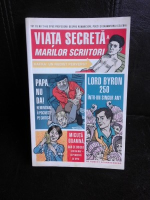 Viata secreta a marilor scriitori - Robert Schnakenberg foto
