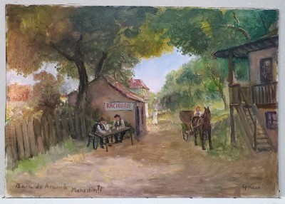Nicolcea Spineni - La Birt foto