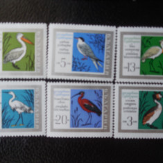 Bulgaria-Fauna ,pasari-serie completa,nestampilate MNH