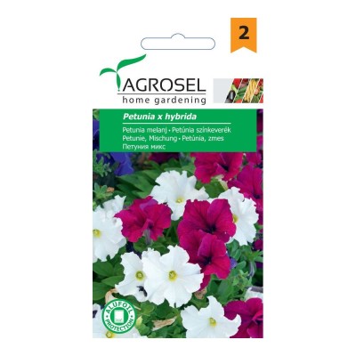 Seminte flori petunia AS-PG2 foto