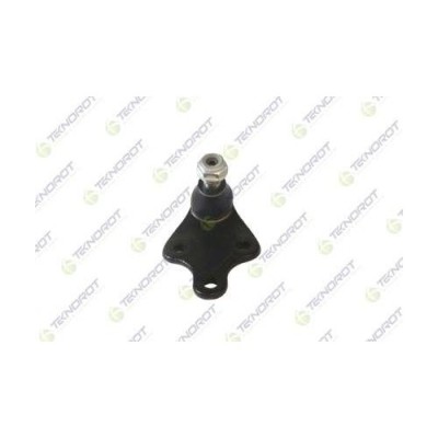 Pivot brat suspensie Ds Ds 4 2 (F Fb F3) 10.21-, Fata, Stanga=Dreapta, TEKNOROT foto