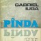 Gabriel Iuga - Panda